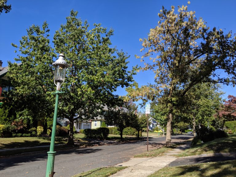 Why Seton Hall students are counting South Orange trees