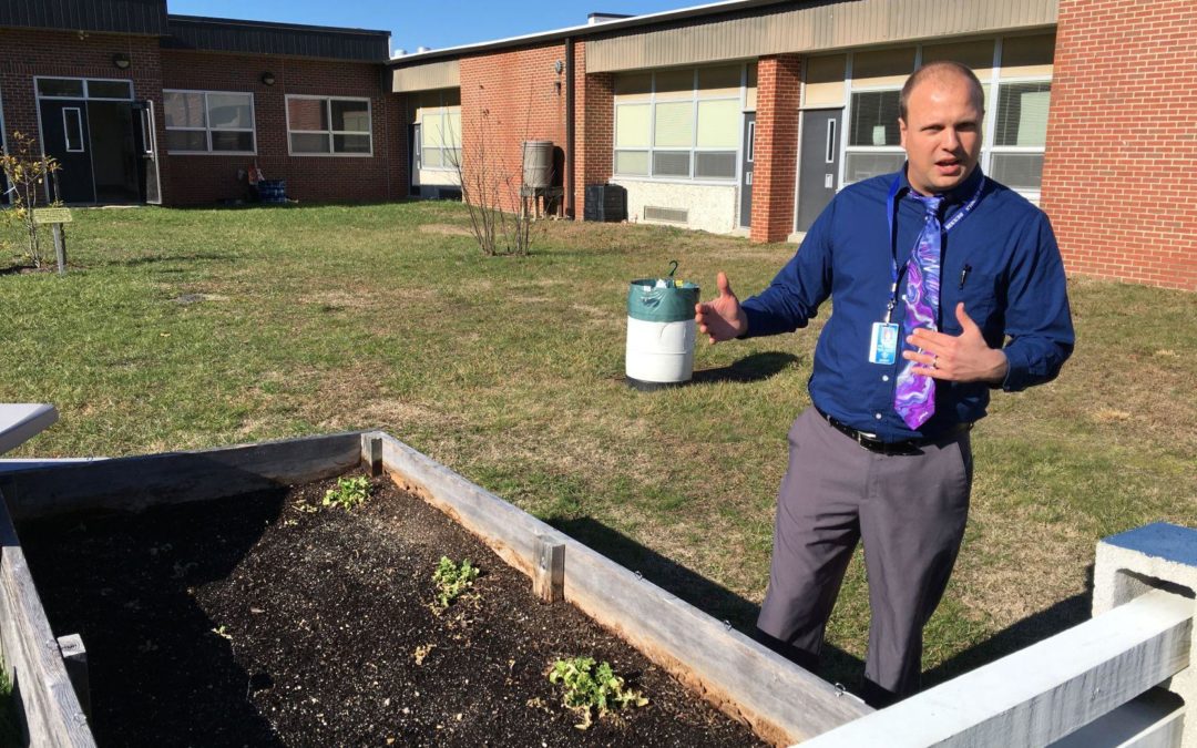 Teacher sows seeds of sustainability: lessons from the garden