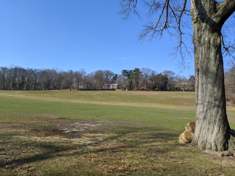 South Orange tests greener ways to manage grass turf | New Jersey ...