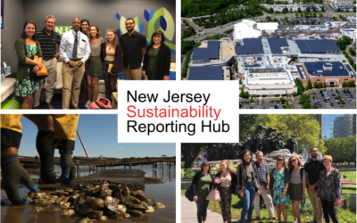 Announcement: Applications open for NJSR Hub Sustainability Reporting Fellows