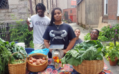 Kapow! Hot Sauce: employing Camden teens and fighting food insecurity