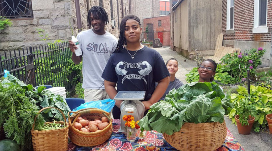 Kapow! Hot Sauce: employing Camden teens and fighting food insecurity