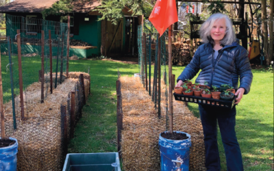 Home gardening embraced locally