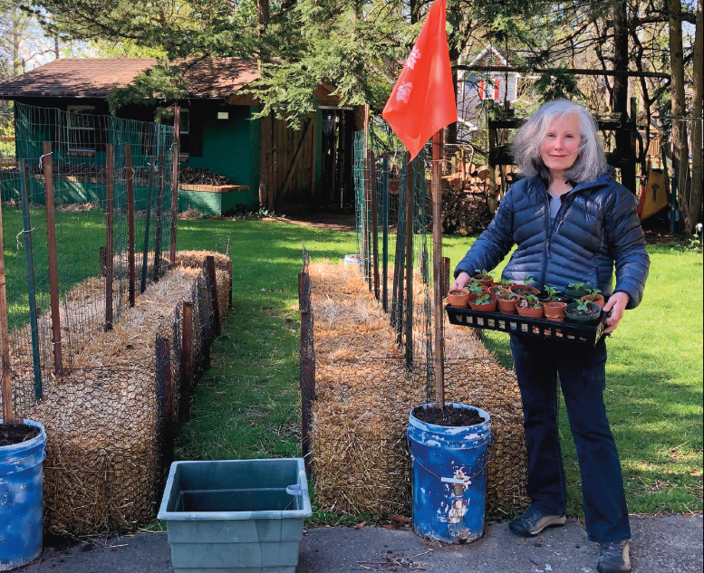 Home gardening embraced locally