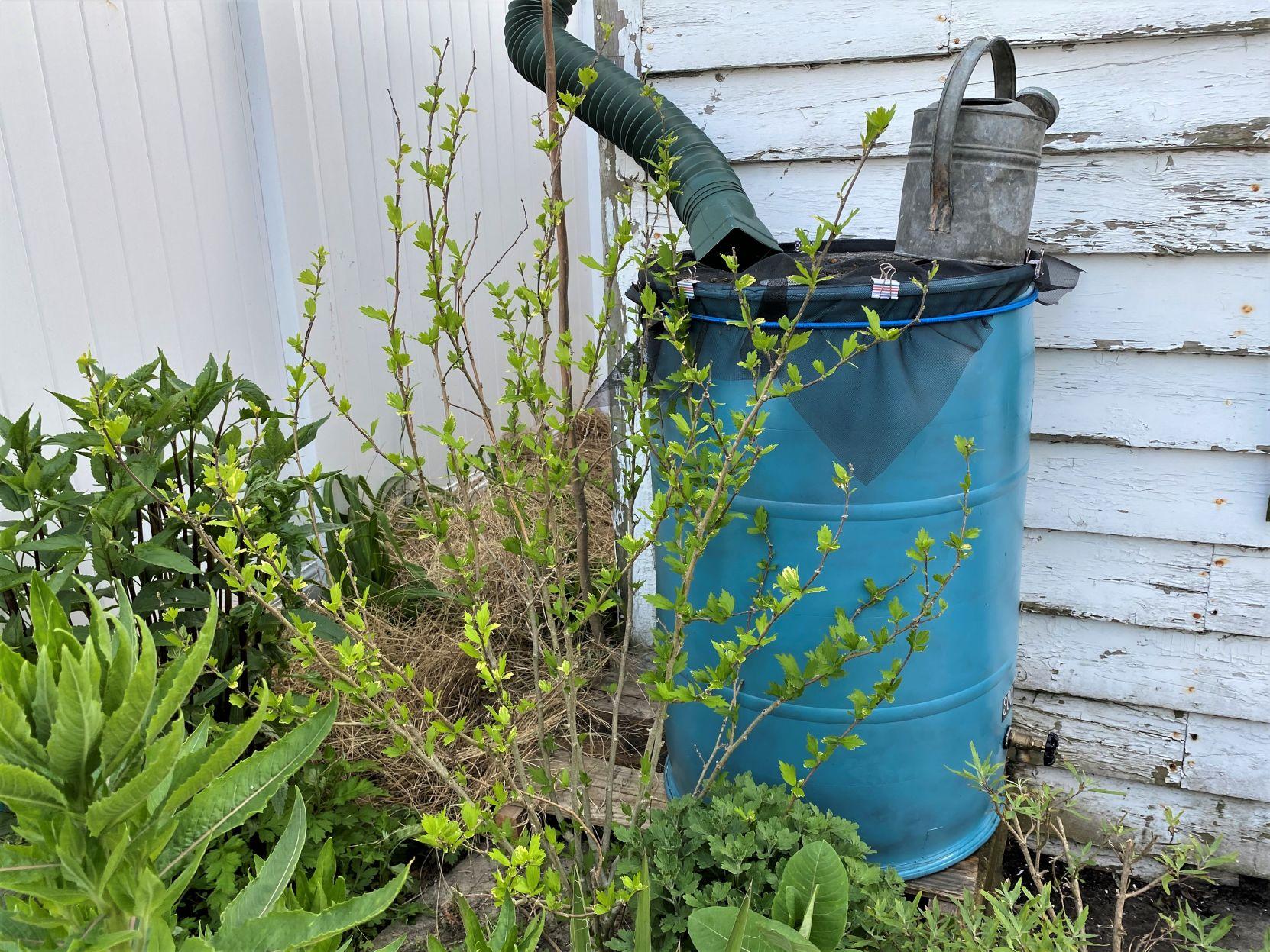 Saving for a notsorainy day Rain barrel goes virtual, but