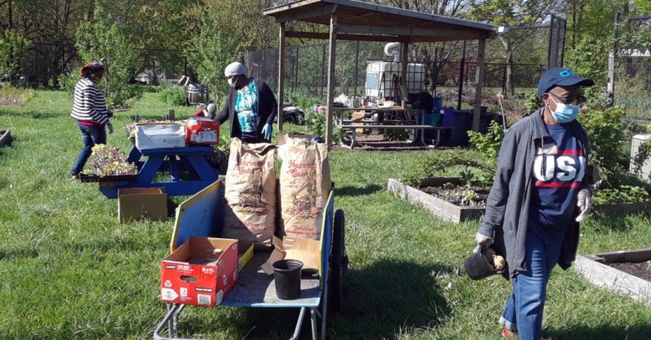 Trenton’s Urban Gardens Foster Food Sovereignty and Civic Engagement