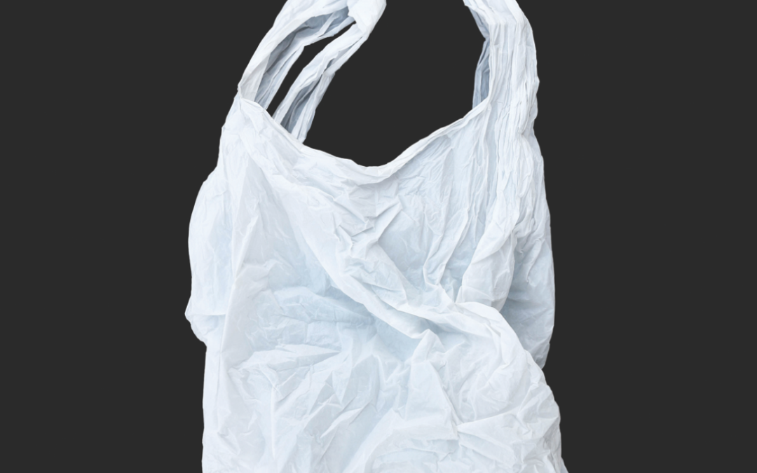 New Jersey Residents, Businesses Prepare for Plastic Bag Ban