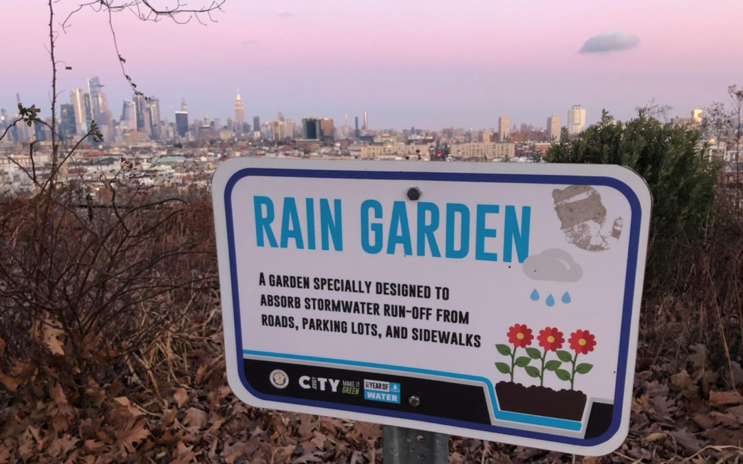Can Rain Gardens Help Solve the Flooding Problems in Jersey City?