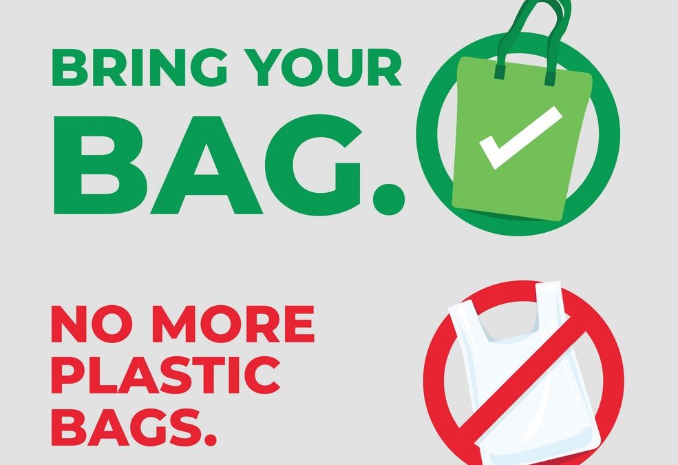 New Jersey joins the plastic bag ban movement. What can Trentonians expect?