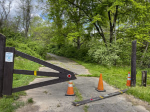 A broken gate and traffic cones at the entrance of a path into a forest
