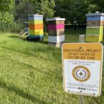 A sign in front of four colorful beehives asks visitors not to enter or disturb a "bee zone"