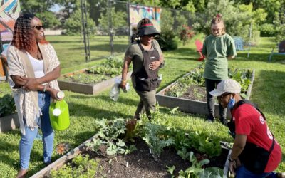From clean soil, lawmakers and nonprofit aim to grow healthy communities