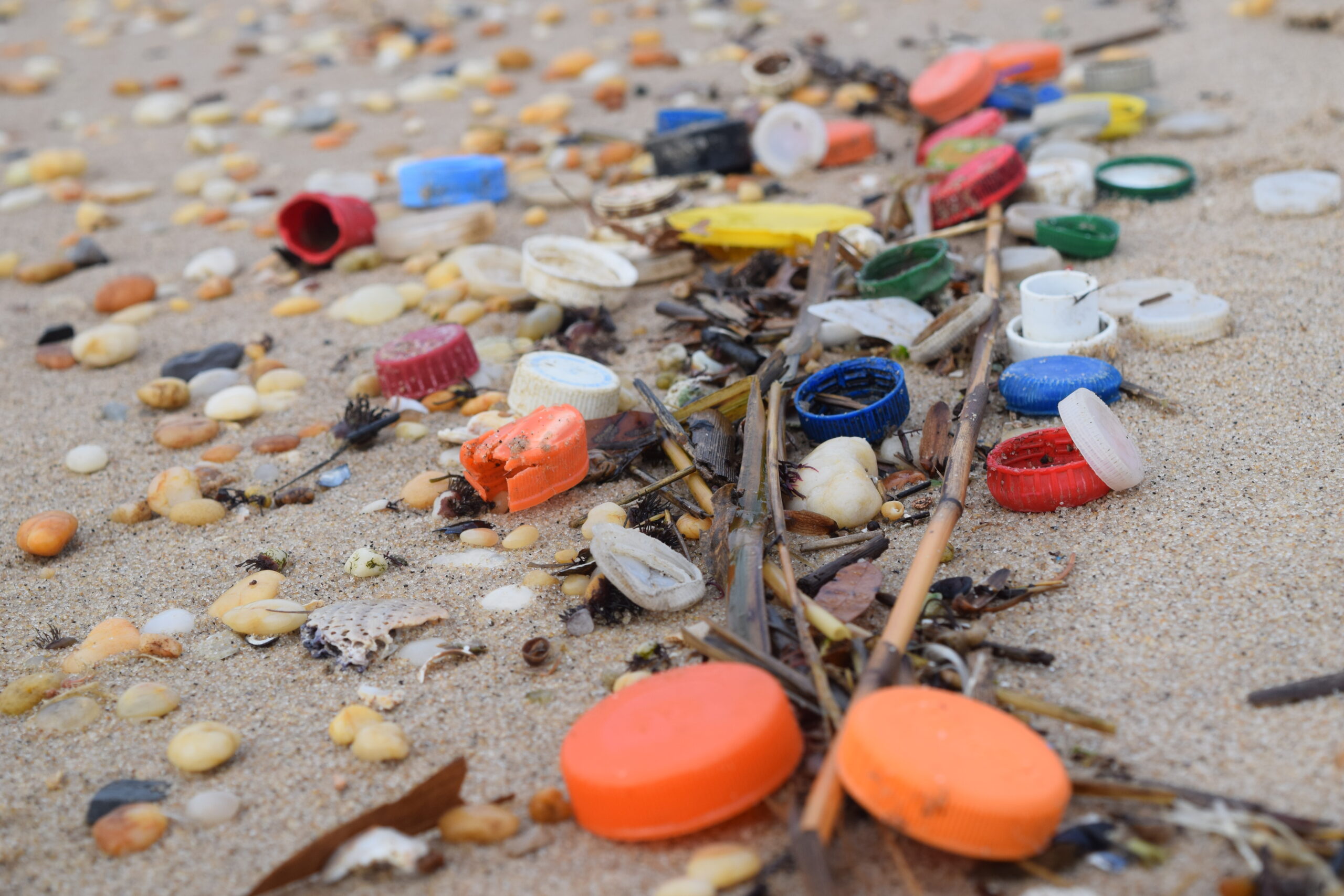 Close-up of numerous colorful plastic bottle caps on sand next to rocks and shells