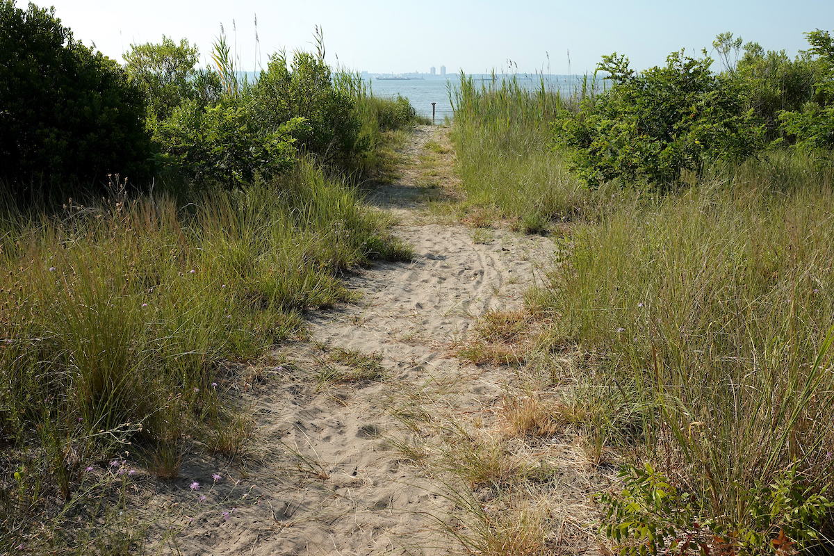 A sandy path leads through foliage to water in the distance