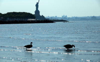 In fight against commercialization, park preservationists champion a beach for the birds