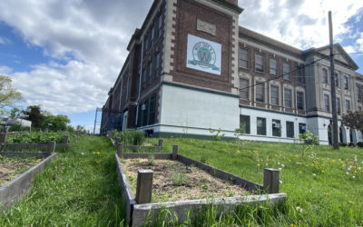 How West Side High School’s urban farm is promoting sustainability in Newark
