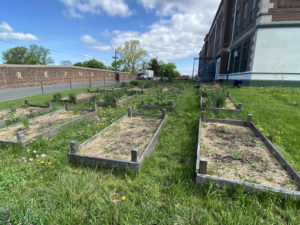 Many raised garden beds in a grassy area