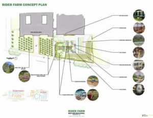 Landscape architectural illustration labeled "Rider Farm Concept Plan"