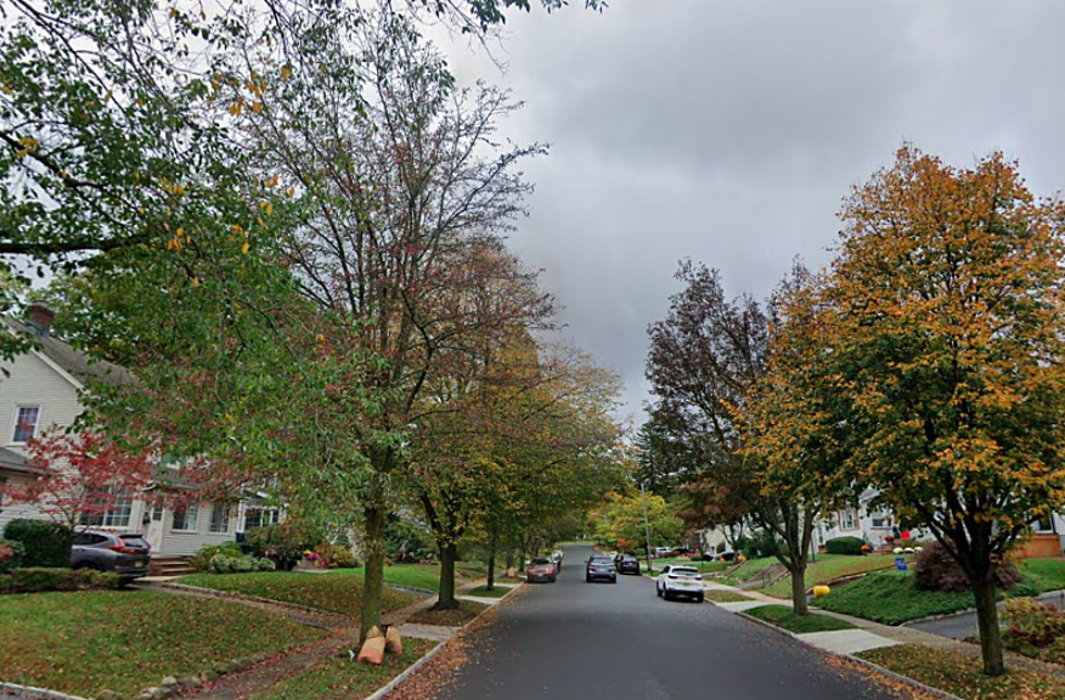 Tree-lined suburban street