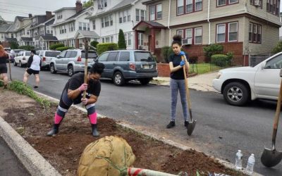 Tree planting initiative is promoting sustainability, togetherness in Newark