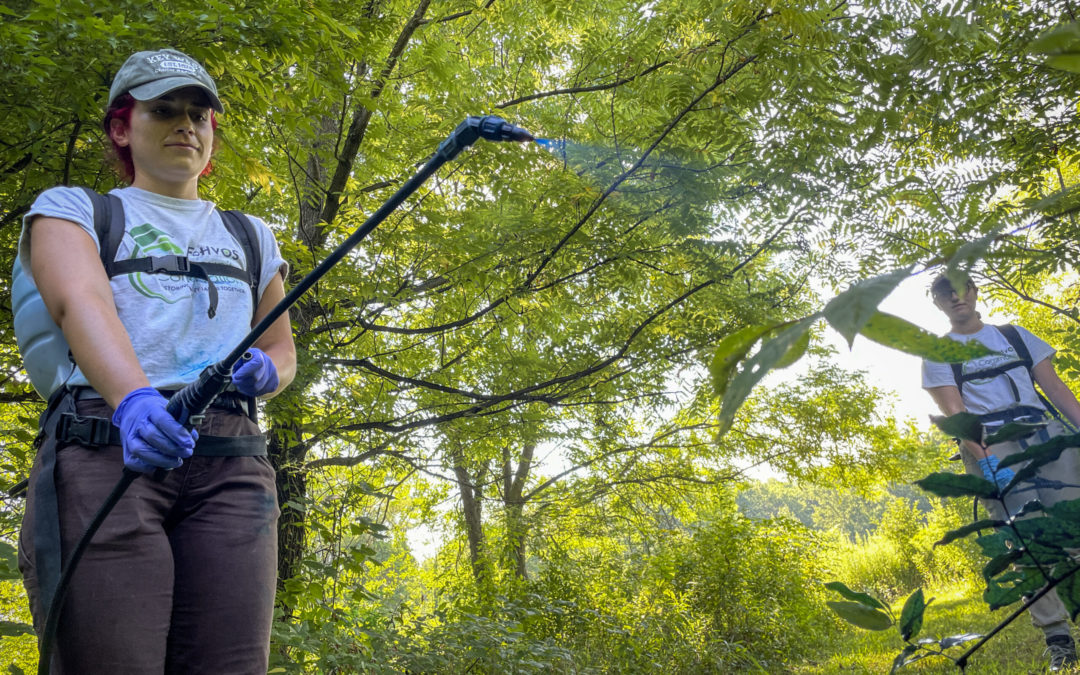 In fight against invasive plants, strike team stepped up when New Jersey wouldn’t