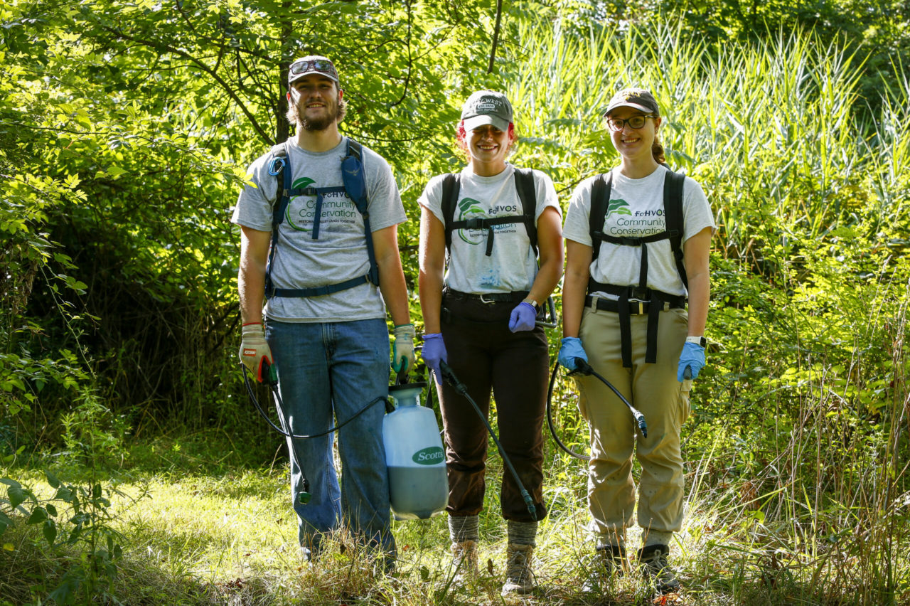 In fight against invasive plants, strike team stepped up when New Jersey wouldn’t New Jersey