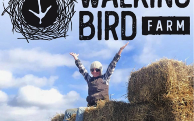 Sustainable farming and community connections at Walking Bird Farm