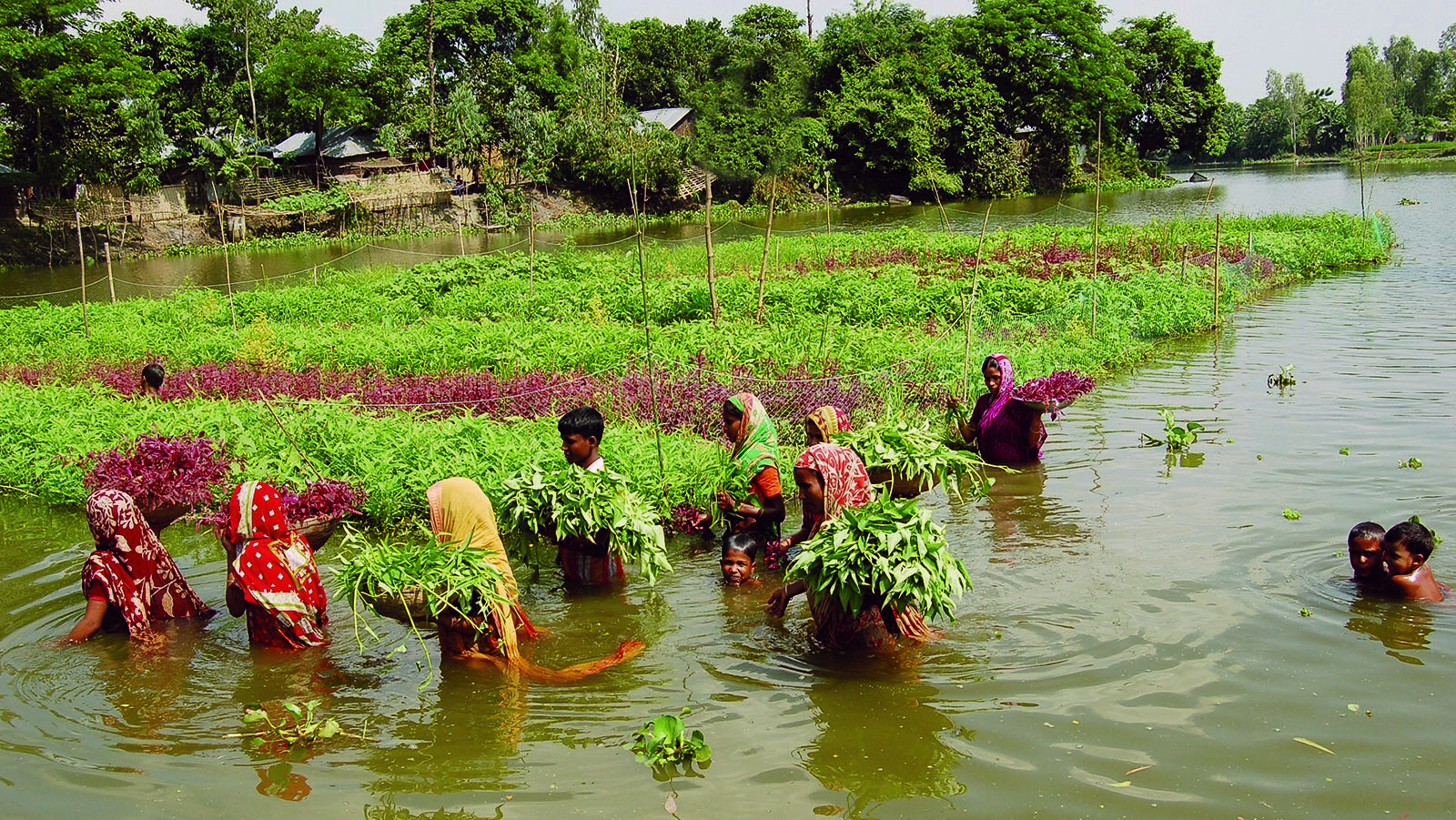 Image of people tending to a floating garden.