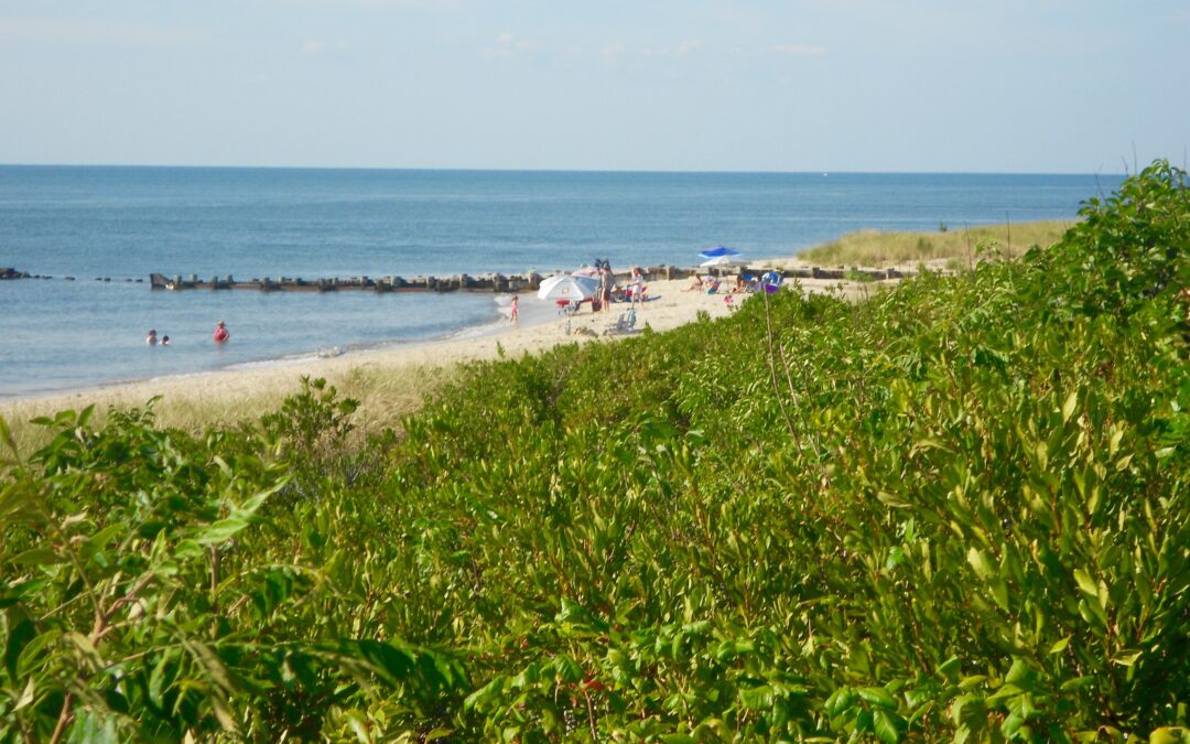 Efforts to Address Shoreline Erosion Continue in the Delaware Bay