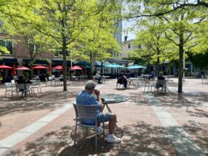 People sit at outdoor tables under the canopies of leafy green trees