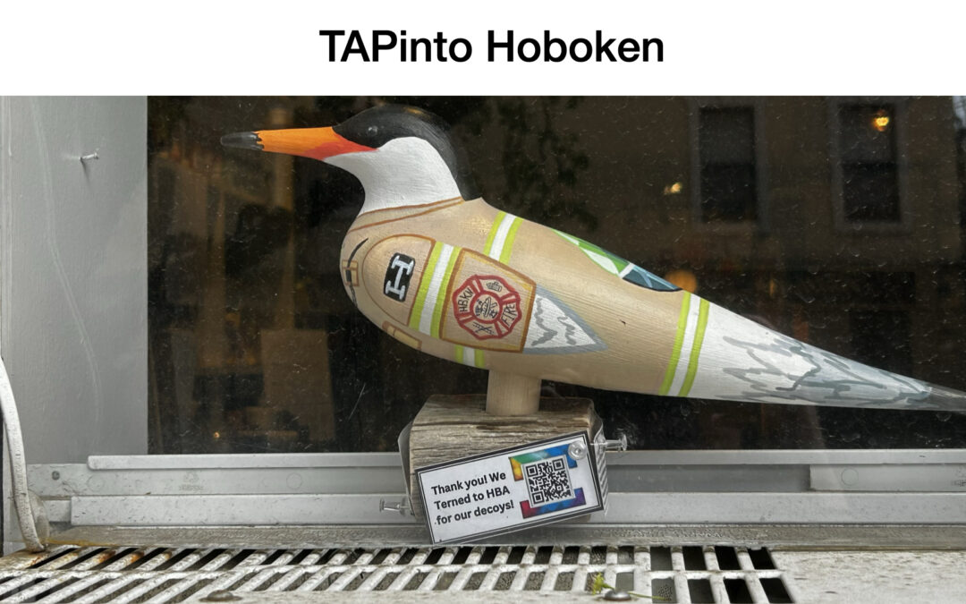 It’s ‘Our Tern’ to Give Hoboken’s Honorary Bird a Permanent Nesting Place 