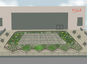 A graphic showing the planned revitalization of the rooftop featuring garden plots