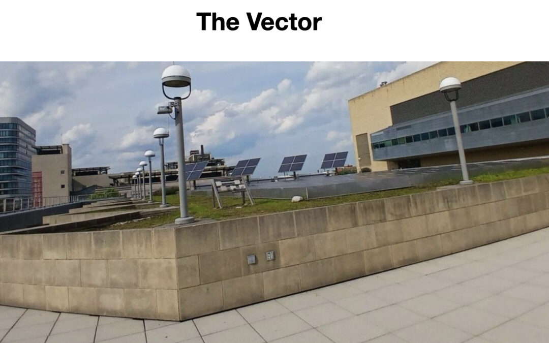 Revitalizing a Rooftop: A Campus Effort to Create Gardening Plots for Students