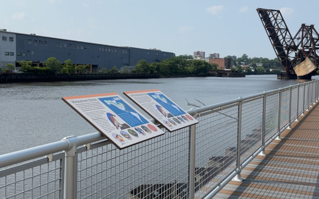 East Newark’s New Riverfront Park Brings Green Space to Former Industrial Site