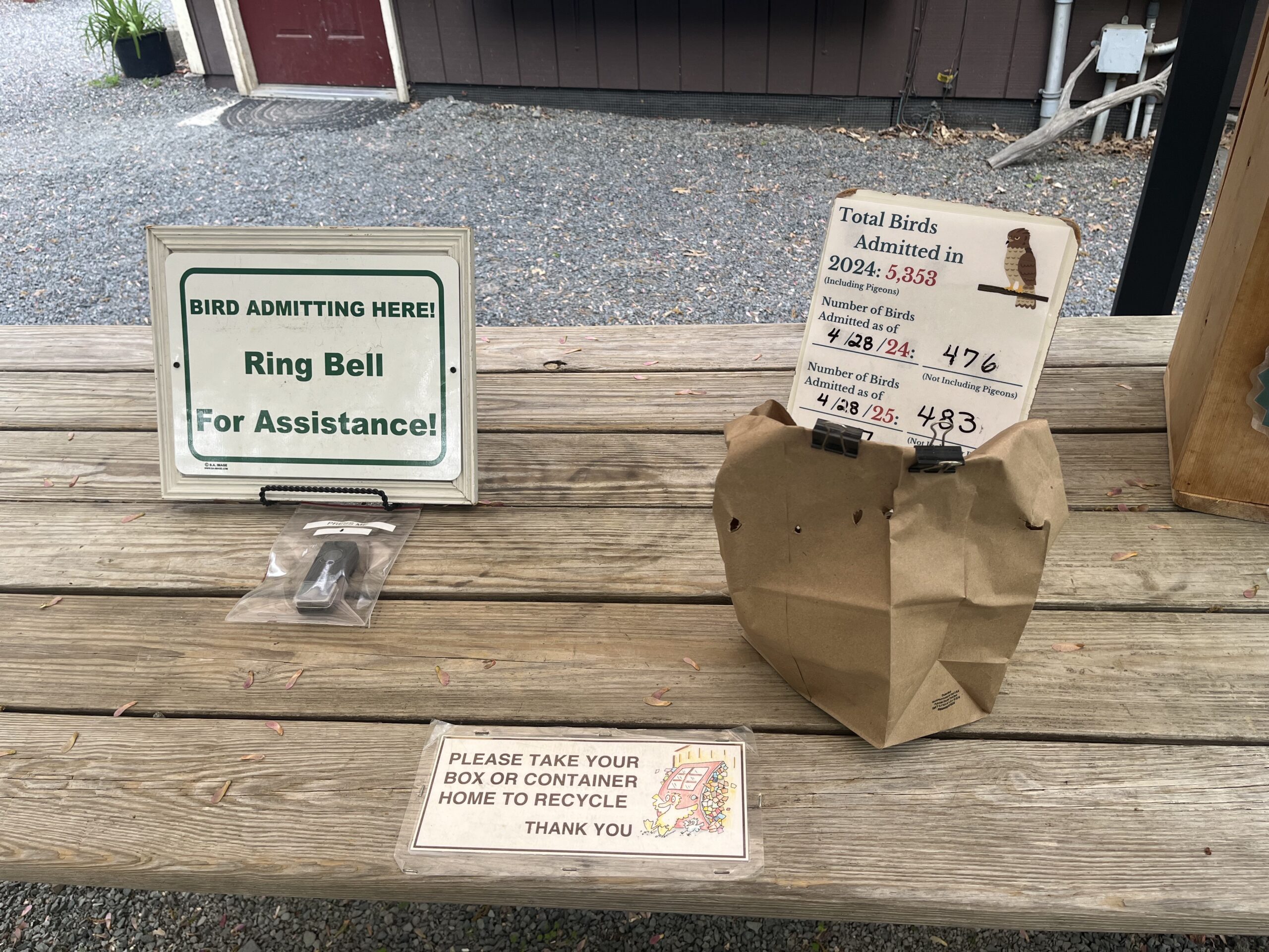 On the exterior wall of a building, a dead bird inside a sealed plastic bag rests under a sign that says bird admitting here. Ring bell for assistance. On another sign, a picture of a hand drawn black and yellow Bird stands on a perch. Text indicates that since 2024 5,353 birds, including pigeons, have been admitted